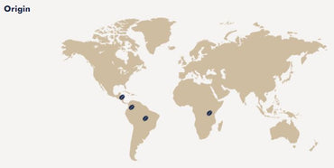 CAFFE BORBONE 100% ARABICA Blend - Aluminum Nespresso®* Machine Compatible Capsules - 30PK - ALUMINUM PODS