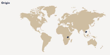 CAFFE BORBONE Espresso Intenso Blend - Aluminum Nespresso®* Machine Compatible Capsules - 10PK - ALUMINUM PODS