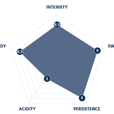 BORBONE Blue Blend - Capsules compatibles avec la machine Nespresso®* - 50PK