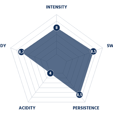 BORBONE DEK - Capsules compatibles avec la machine Nespresso®* (décaféiné) - 50PK