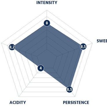 Borbone - Decaf DEK Blend Espresso Paper Pods