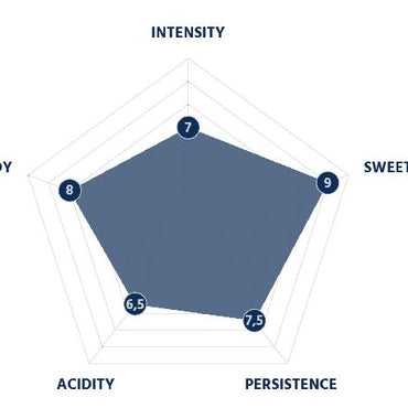 Borbone - Gold Blend - Espresso Paper Pods