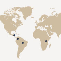 CAFFE BORBONE 100% ARABICA Blend - Aluminum Nespresso®* Machine Compatible Capsules - 10PK - ALUMINUM PODS