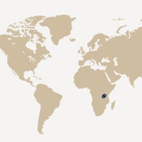 CAFFE BORBONE Espresso Intenso Blend - Aluminum Nespresso®* Machine Compatible Capsules - 10PK - ALUMINUM PODS